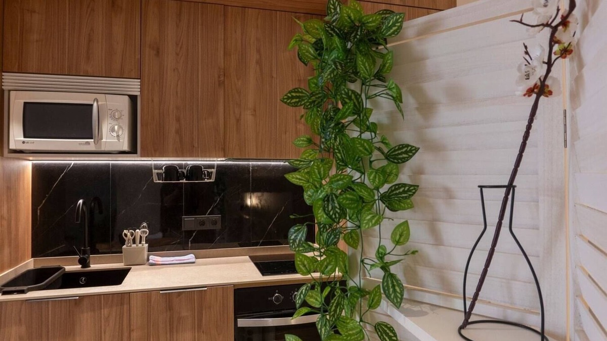 Montolivet Apartment | VLC HOST - Zapadores G