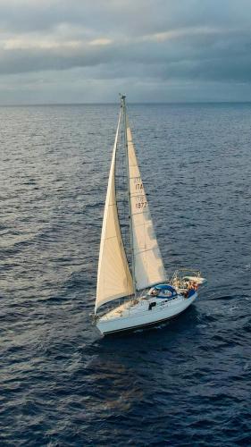Pointe du Bout Boat Rental | Voilier au mouillage First 405