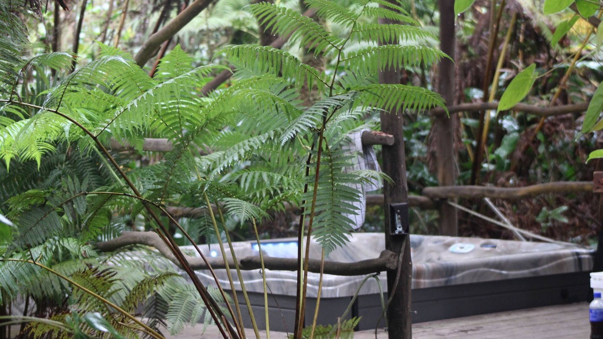 Volcano Cabin | Volcano Rainforest Retreat with a Hot Tub