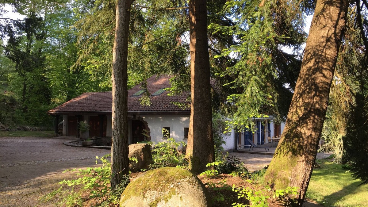 Saint-Nabord Villa | Vosges House 400m2 of character set in a green setting