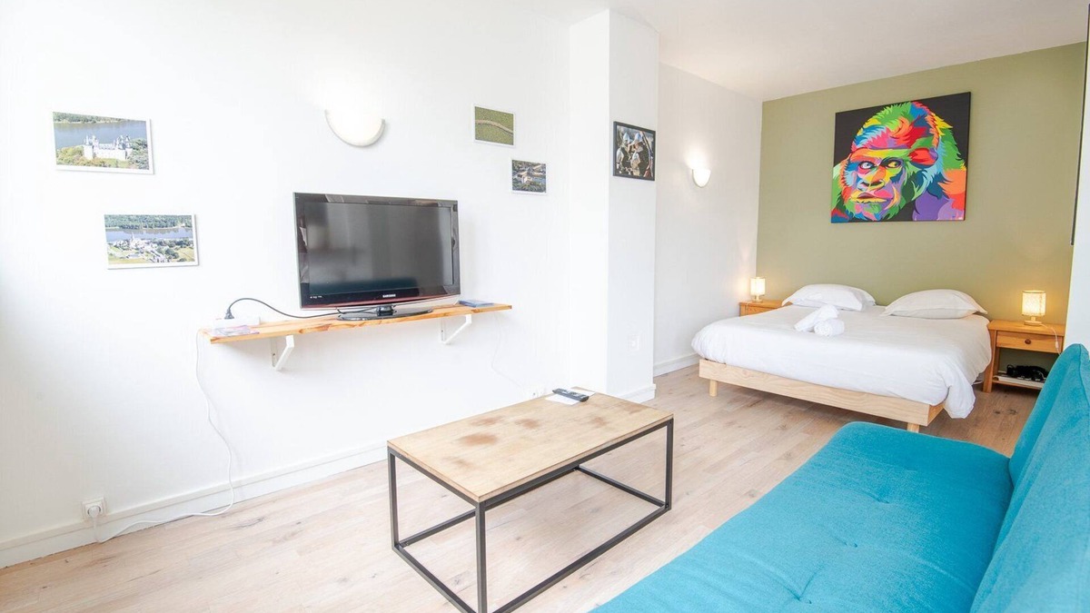 Saint-Cyr-sur-Loire Apartment | Voyage artistique