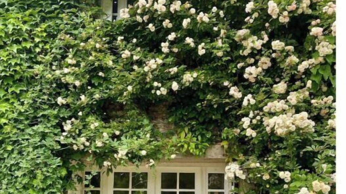 Saint-Pierre-de-Bailleul House | Vraie Belle Maison de Campagne à 1h de Paris !
