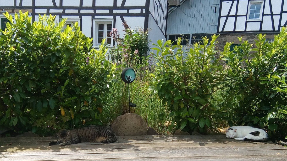 Numbrecht Apartment | Vrbo Property