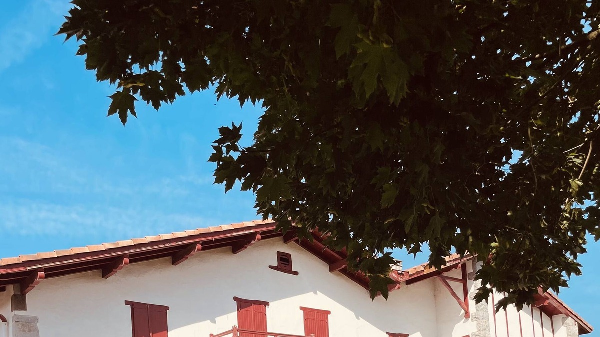 Armendarits Apartment | Vrbo Property