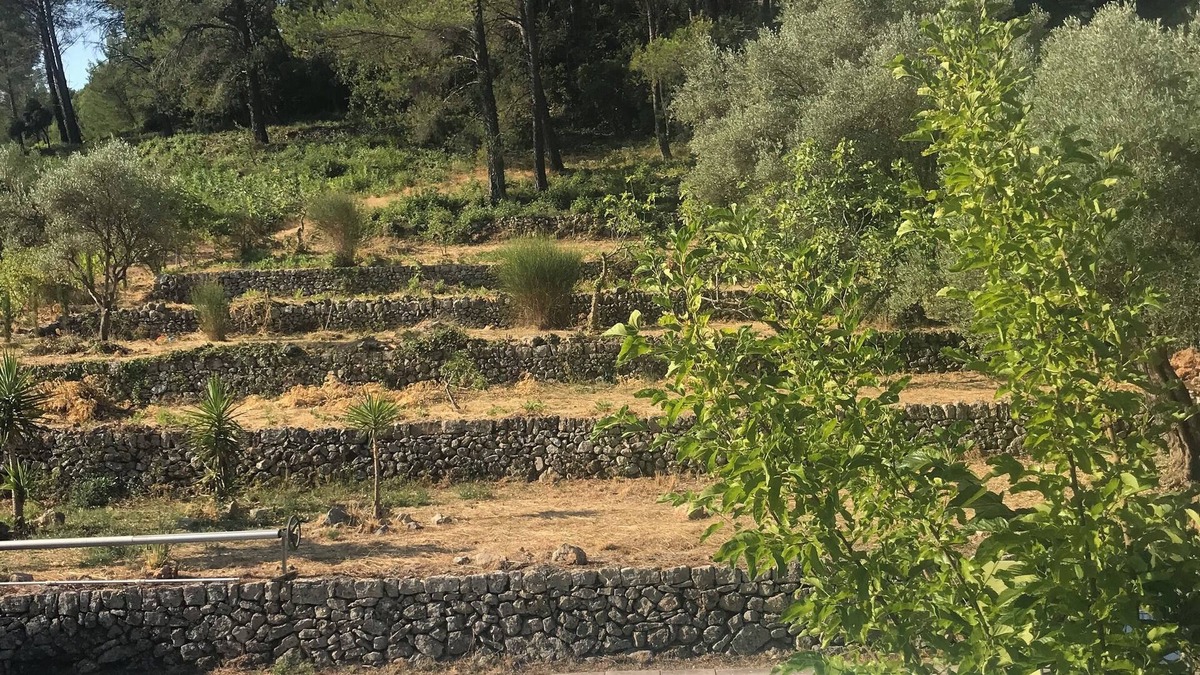 Sollies Pont Villa | Vrbo Property