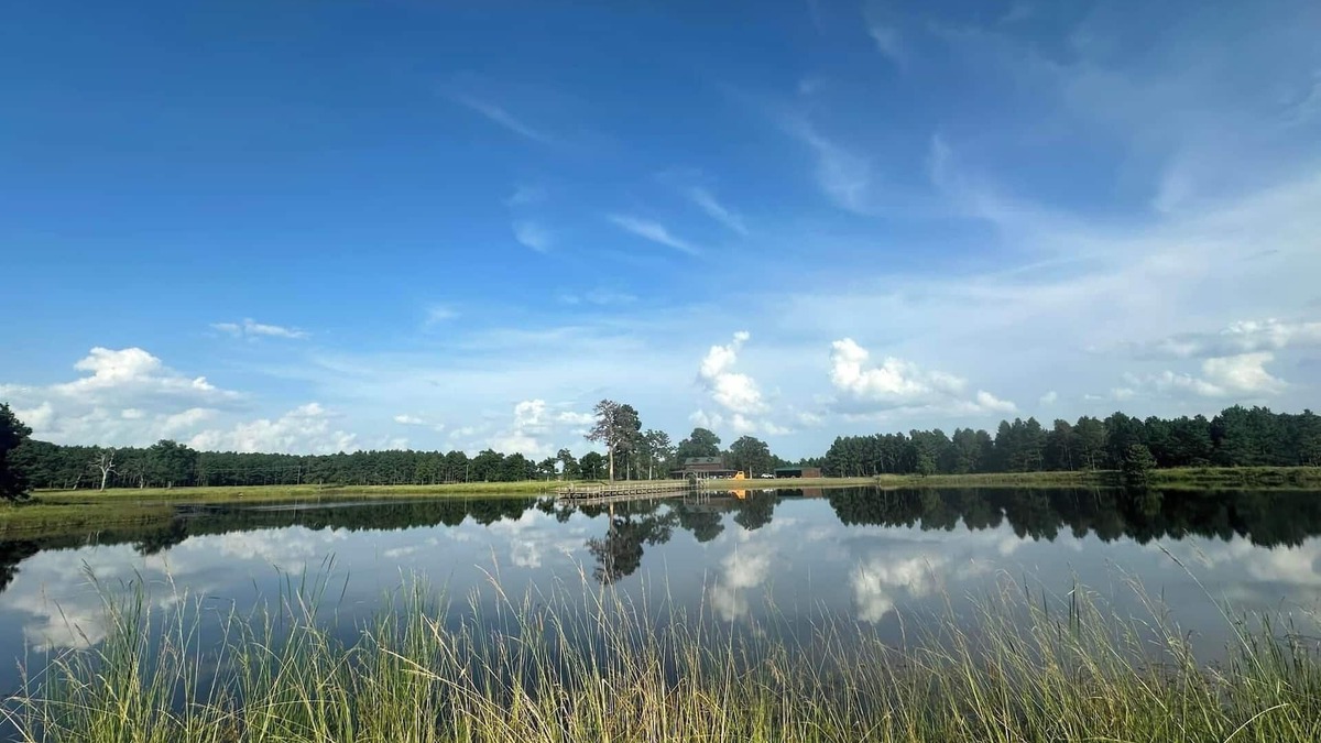 Crockett Cabin | VTG Lodge and Guest Suites - Experience the wild frontier of Crockett Texas