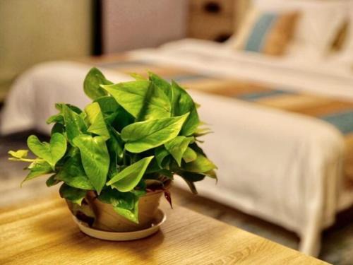 Jintan Hotel | VX Changzhou Jintan District Red Star Macalline Hotel