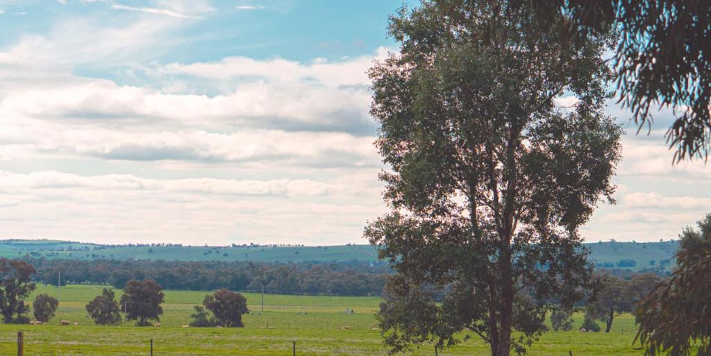 Forest Hill Resort | Wagga Wagga Tourist Park