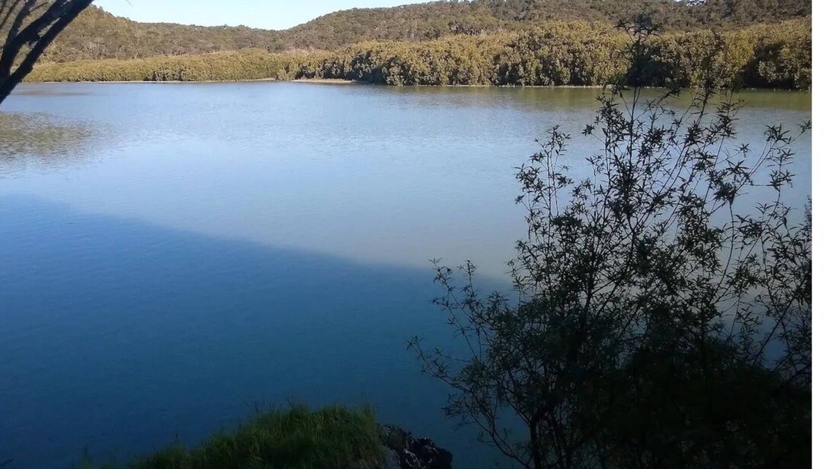 Russell Cabin | Waikare Waters - Luxury Cabin Complex in a private wilderness and waterway.