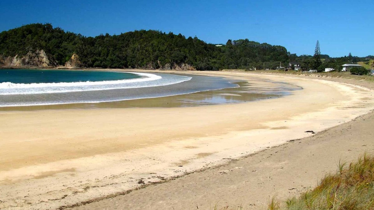 Ngunguru Cabin | Waiotoi NZ - The Bush Hideaway