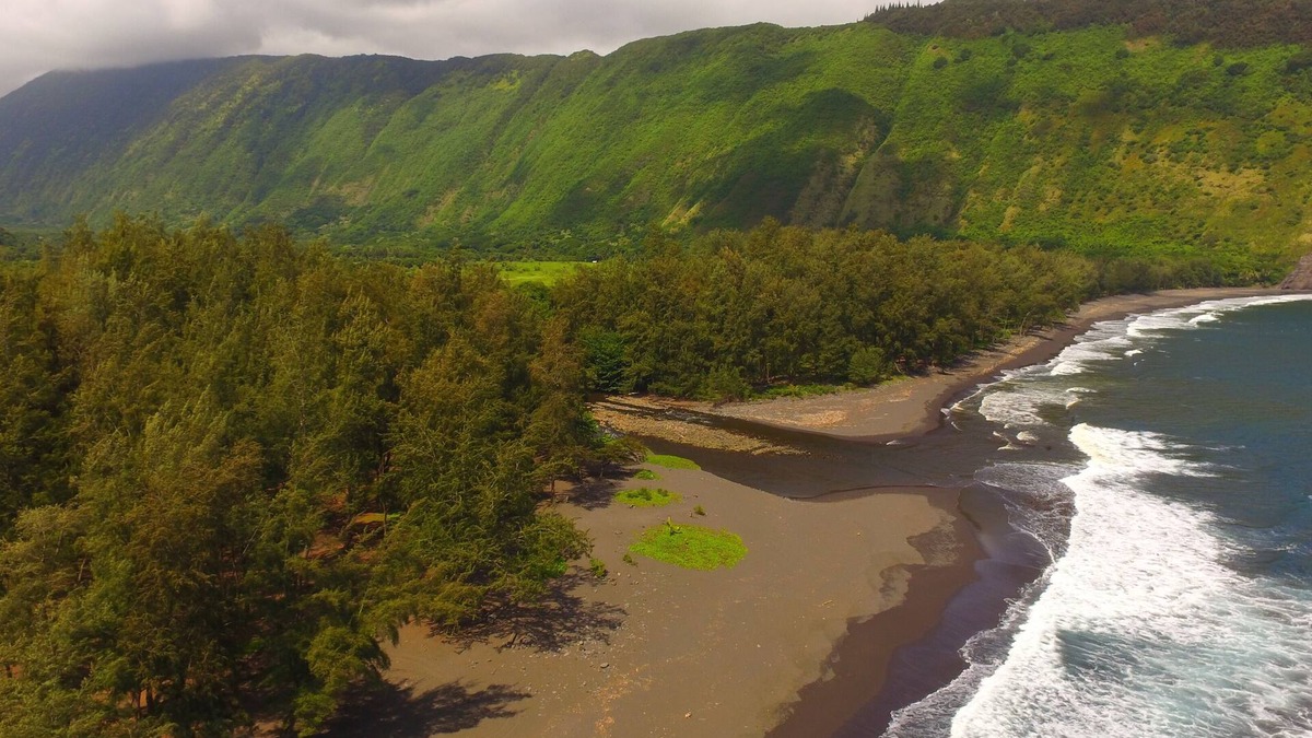 Waipio House | Waipio Valley and Ocean View