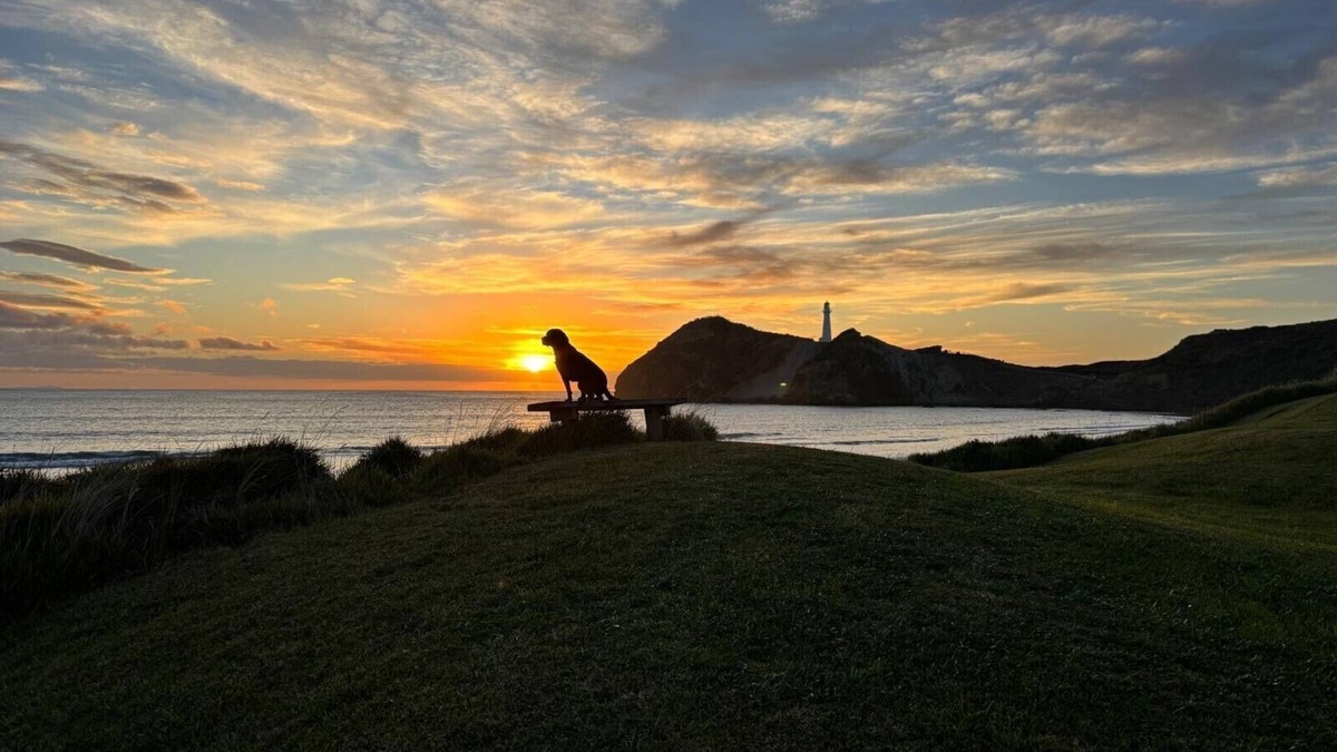 Castlepoint House | Waiwhare On The Beach (beachfront property with direct beach access)