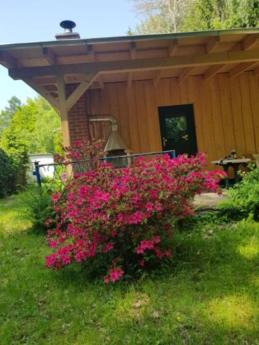 Oelsnitz/Erzgeb. Apartment | Waldbadhäusel Naturbad-Bungalow
