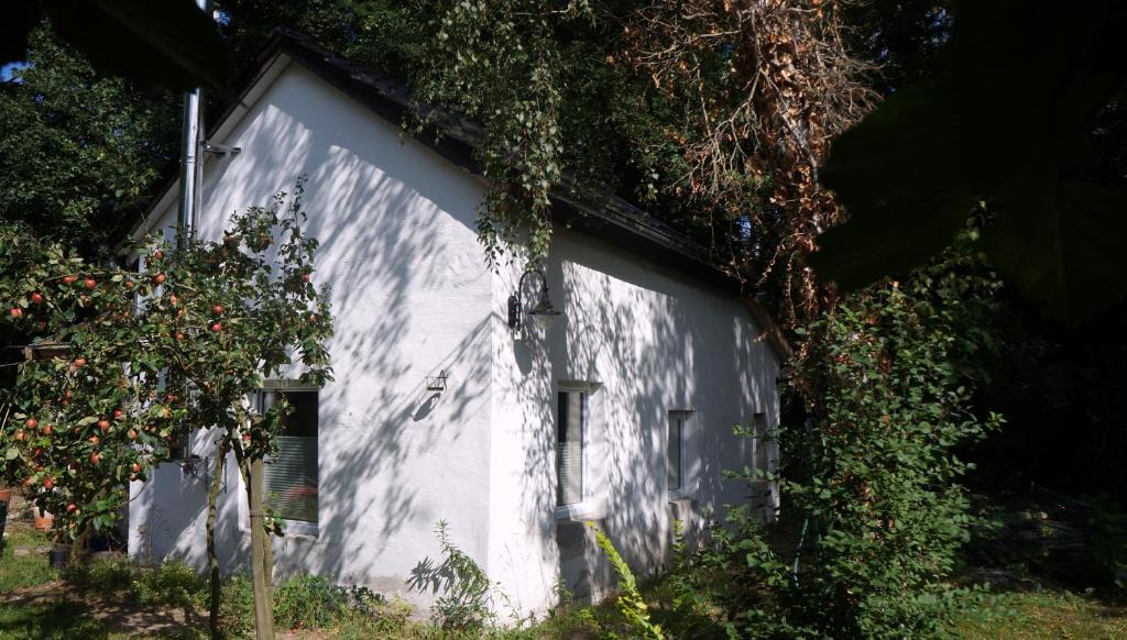 Kleinmachnow House | Walddomizil Kleinmachnow