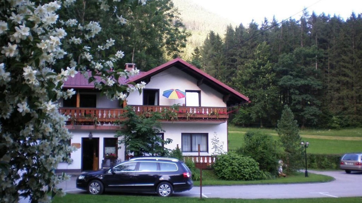 Hinterstoder Apartment | Waldhaus - Apartment 4/2 bedrooms/bathroom, toilet