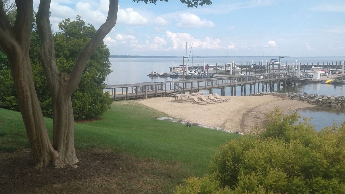 Kingsmill Apartment | Walk to beach, large room on wooded lake, "Kingsmill on the James"