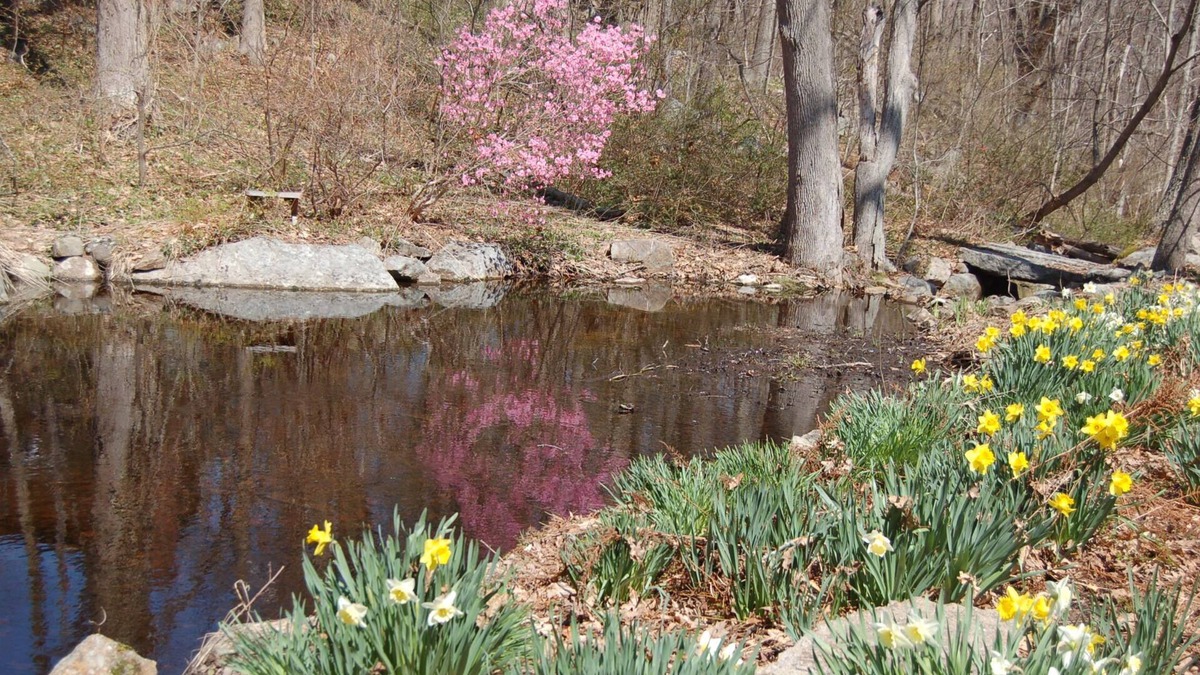 Rockport Apartment | Walk to the ocean, very private. Secluded, woodsy location.