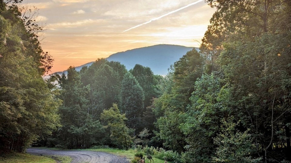 West Jefferson House | Walking distance to downtown/beautiful mountain views.