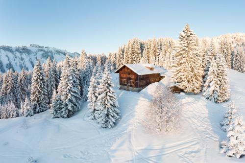Obermaiselstein House | Wannenkopfhütte