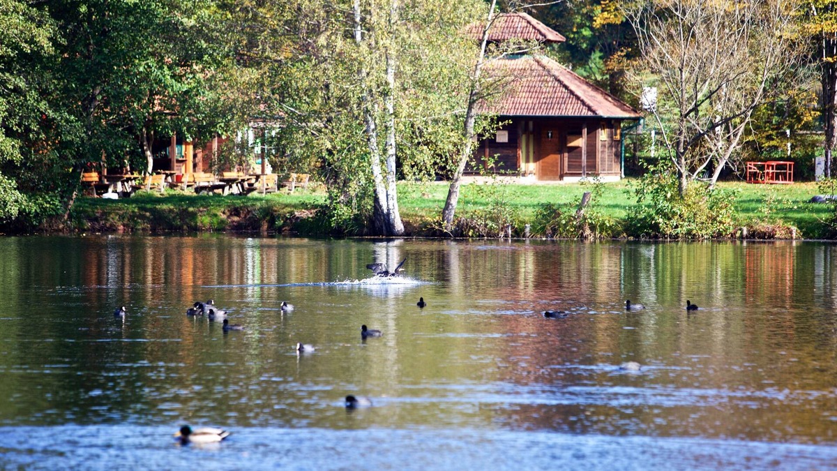 Schontal Apartment | Wasgau - View - Apartment at Schöntalweiher
