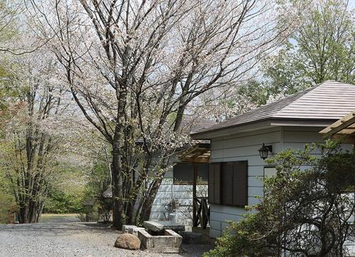 Motegi Other | Washinosu Campground - Vacation STAY 85295v