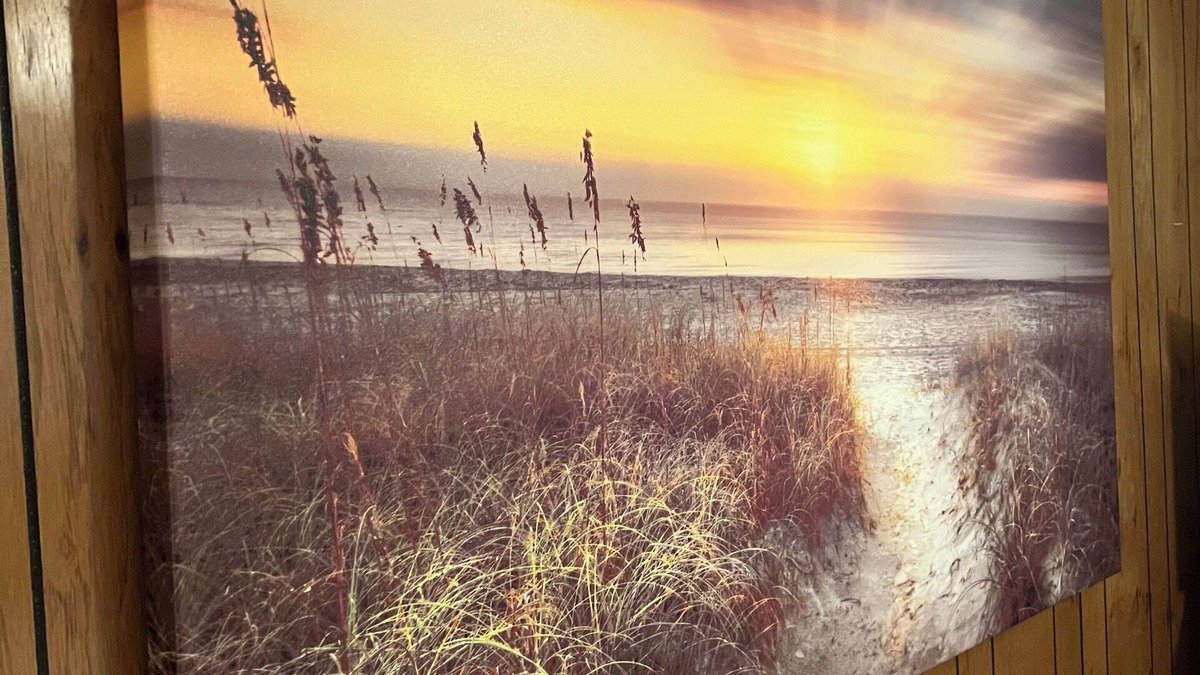 Mullett Lake House | Watch Beautiful Sunrises on Mullett Lake