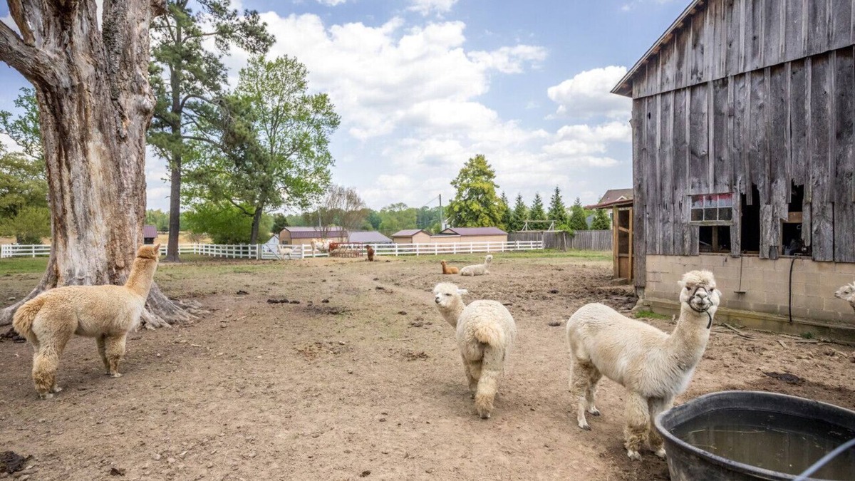 Bel Air Other | Watch Deer from a Farm Cottage