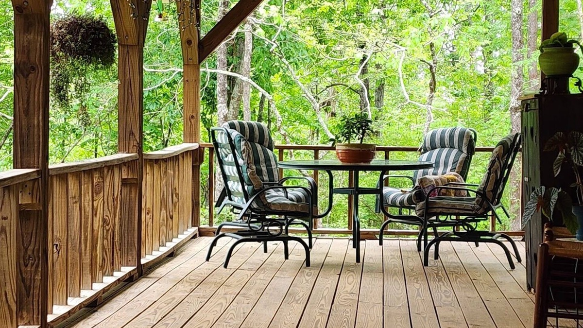 Blountsville Cabin | Watch the birds on a wrap-around porch. Very private and pet friendly.