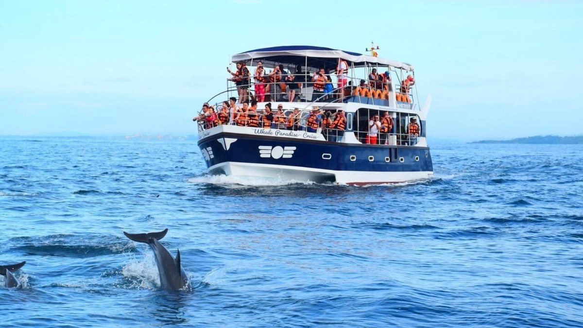 Mirissa Boat Rental | Watch The Real Whale Paradise On Earth