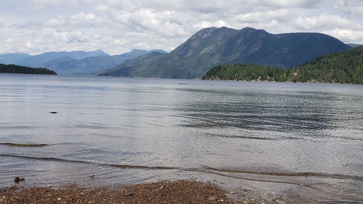 West Porpoise Bay House | Water & Mountain Views - Cute but spacious & cozy brand new studio