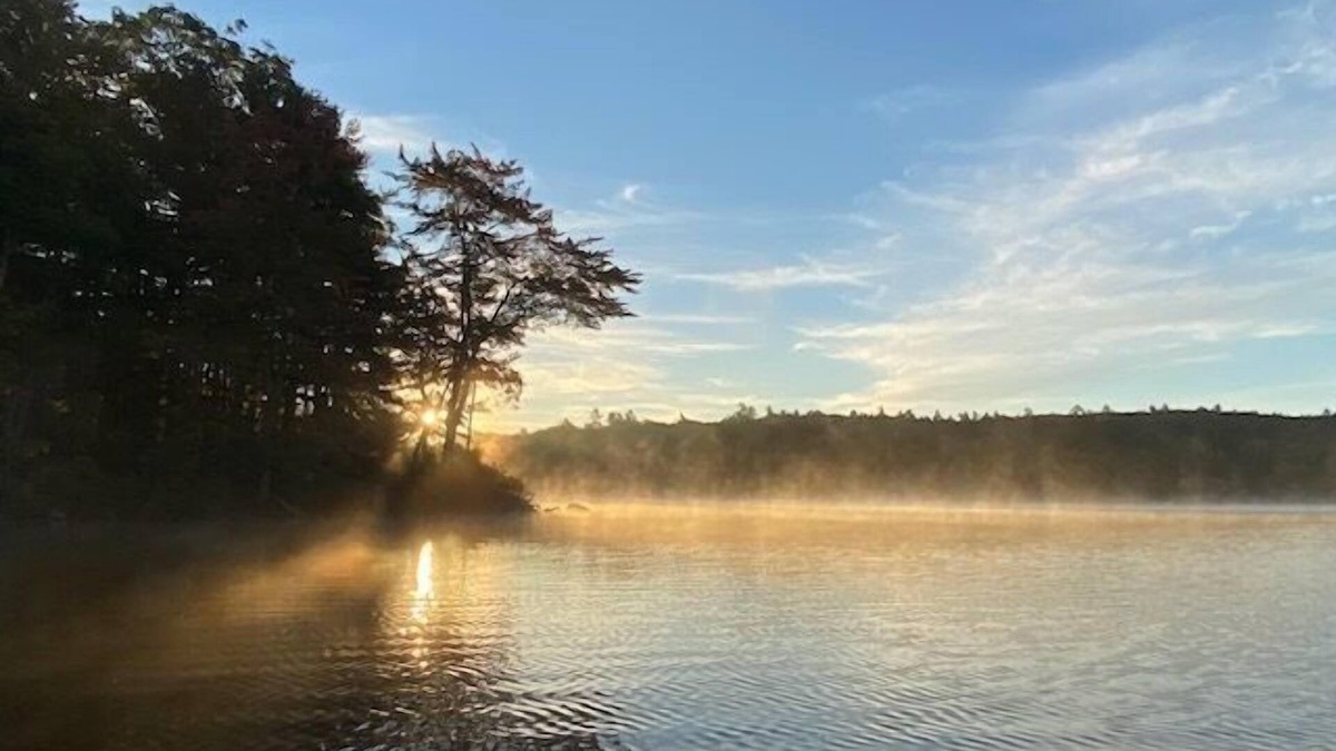 Bucksport Cottage | Water's Edge Private Dock Kayak, Swim & Fish
