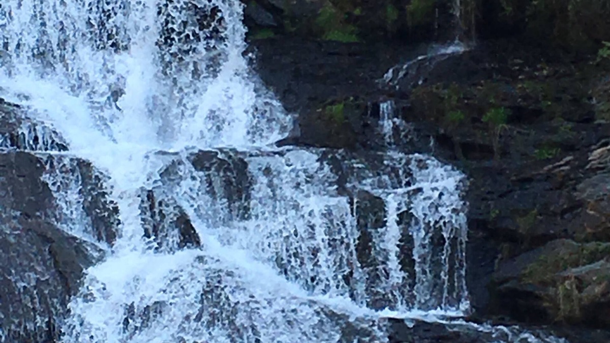 Dahlonega Cottage | Waterfall Cottage in sight & sound of Cane Creek Falls, 2BR 2BA