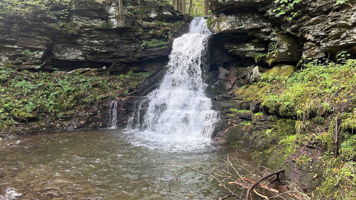 East Branch House | Waterfall View from Secluded 4 Bed Cabin in East Branch, NY with Mountain Views