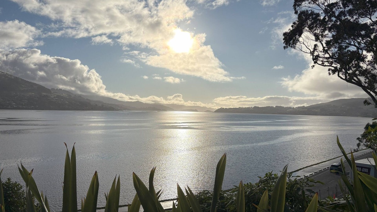 Dunedin Apartment | Waterfront 2-bedroom apartment with AC in Dunedin