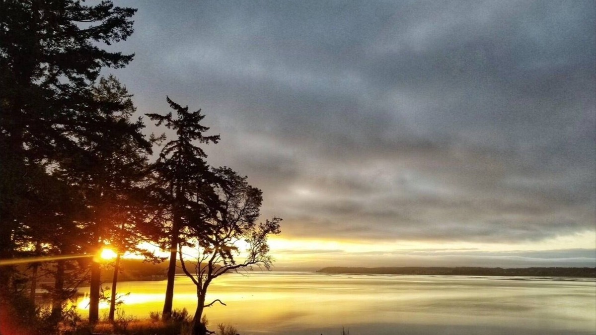 Camano Island House | Waterfront AND tucked in the woods! Such a great escape.