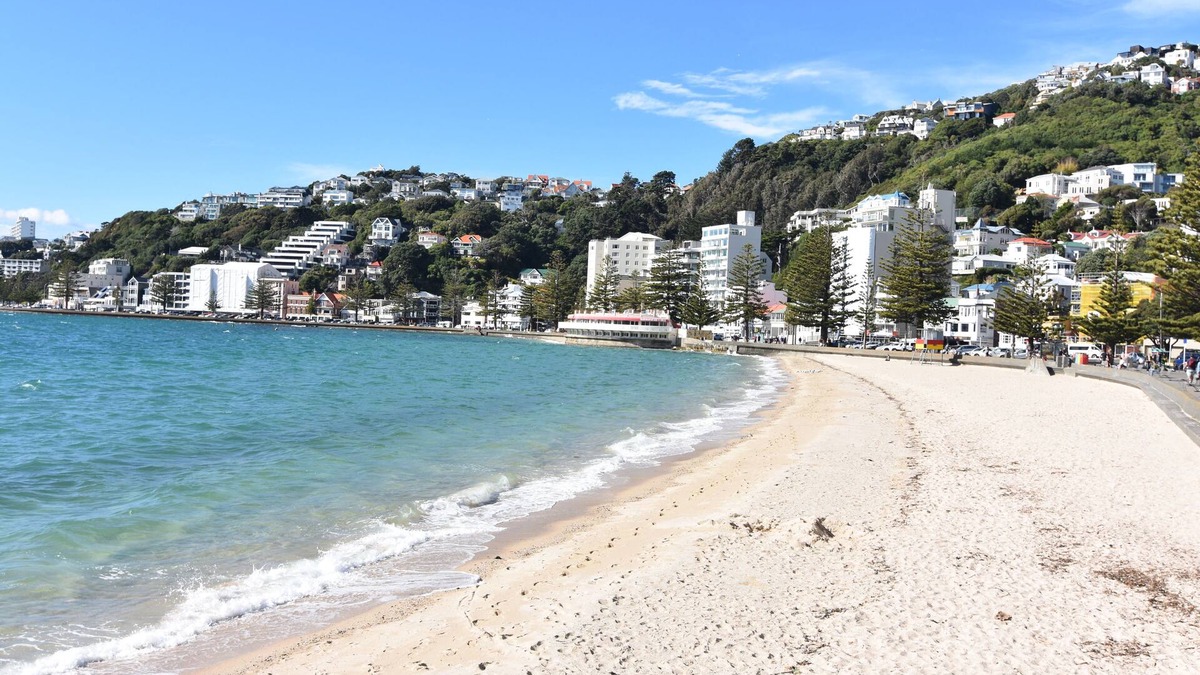 Oriental Bay House | Waterfront Beach house