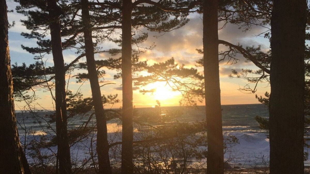 Tiny House | Waterfront Beach House on Georgian Bay