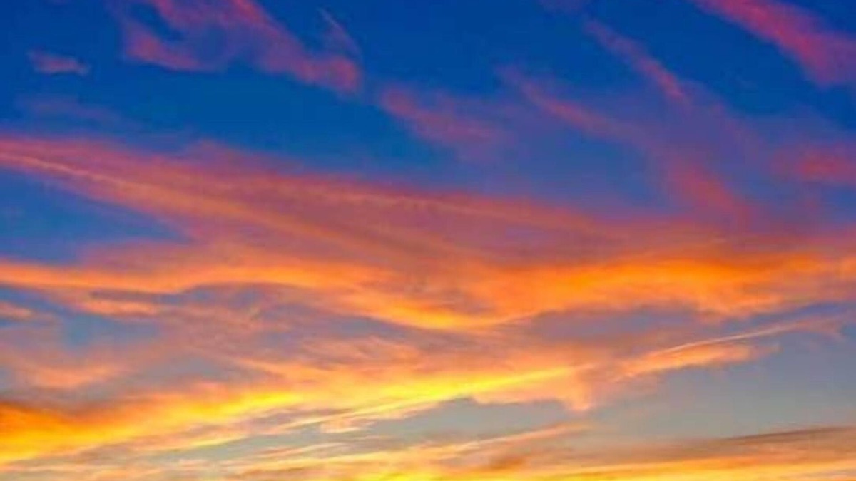 Northport Cottage | Waterfront Breathtaking Cozy Beach Cottage Sunsets Inspiring Peaceful 1 hr NYC