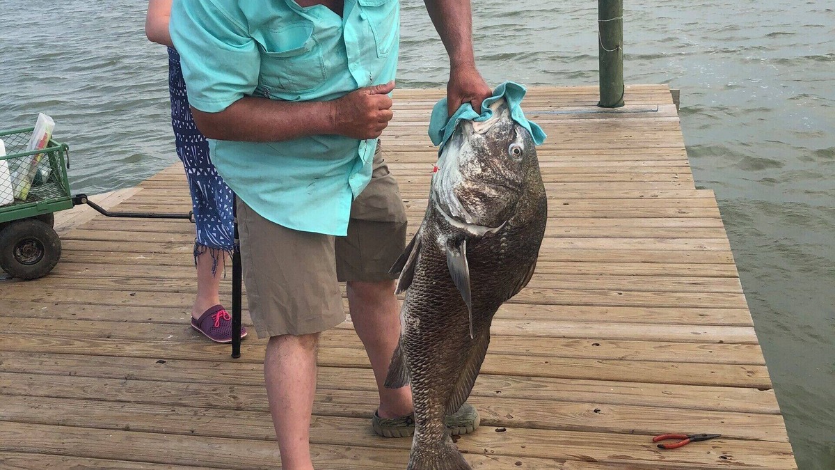 Port Lavaca Cabin | Waterfront Cabin with Amazing Private Fishing Pier and 6 Acres on the bay