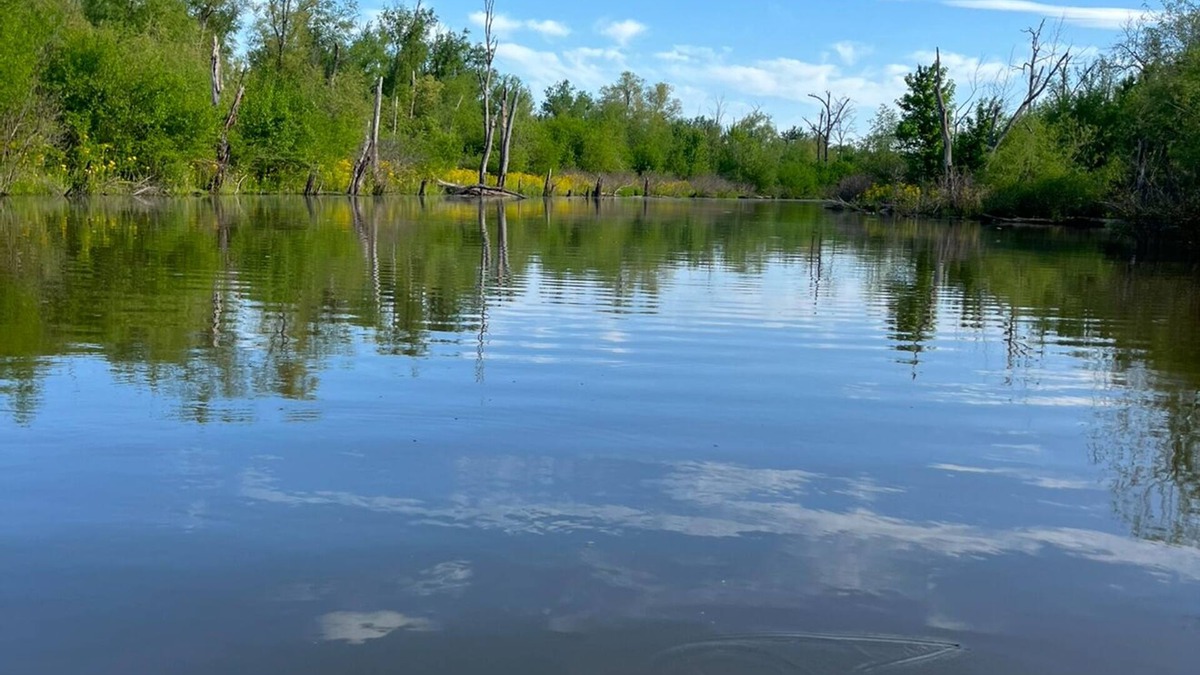 Mozier Cottage | Waterfront cottage in Calhoun County, IL