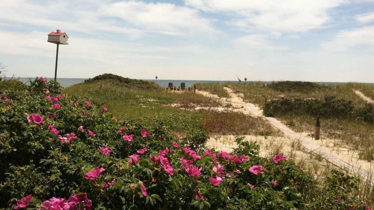 North Truro Cottage | WATERFRONT COTTAGE WITH PRIVATE BEACH! On Beach Point in Truro. Not a condo.