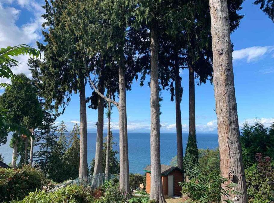 Regional District of Nanaimo House | Waterfront eagle nest suite