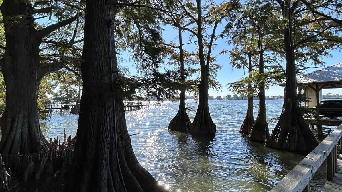 Ferriday House | Waterfront get away retreat! Plenty of fishing opportunities