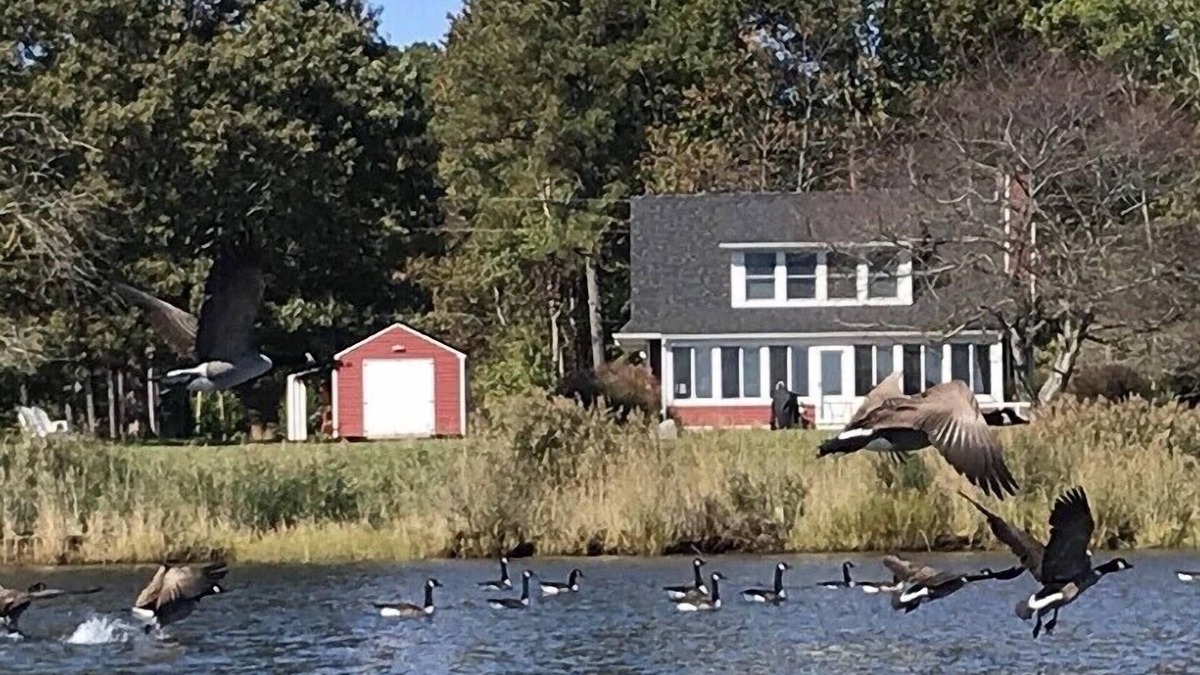Abell Cottage | WATERFRONT GETAWAY- Charming Waterfront Cottage on St Clements Bay