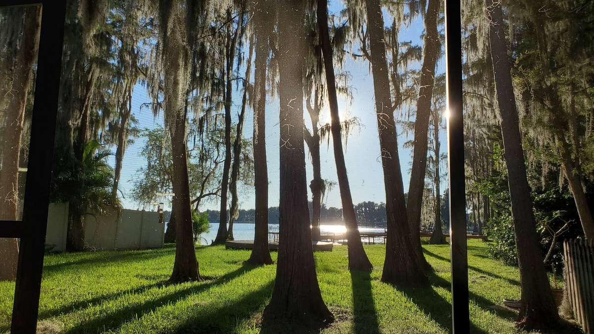 Lutz Apartment | Waterfront great views large 1 bedroom studio apartment close to Moffitt, Tampa.