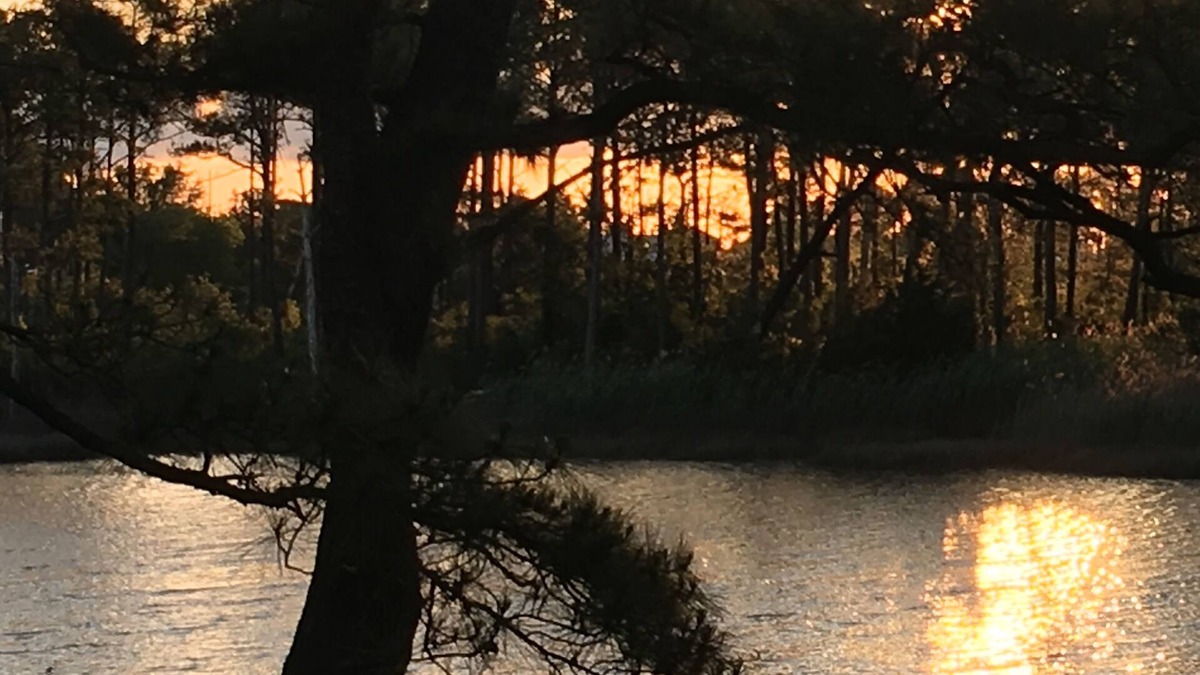 Fox Hill - Grandview House | Waterfront Hideaway PRIVATE 3rd flr guestsuite PRIVATE DECK Nature Preserve View