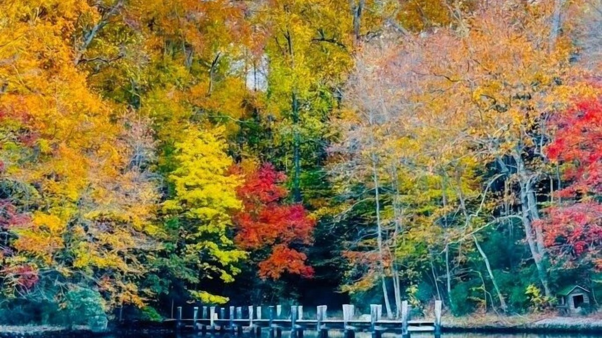 Lusby House | Waterfront home on Mill Creek-5BR-Hot tub & Kayaks