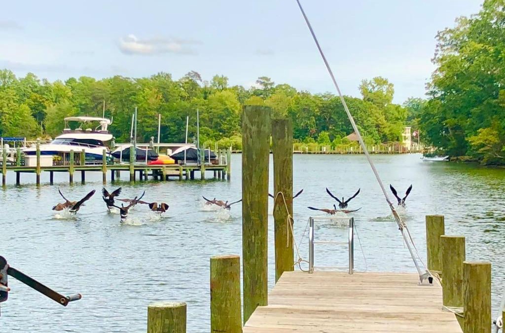 Weems House | Waterfront Home With Boat Dock & Study