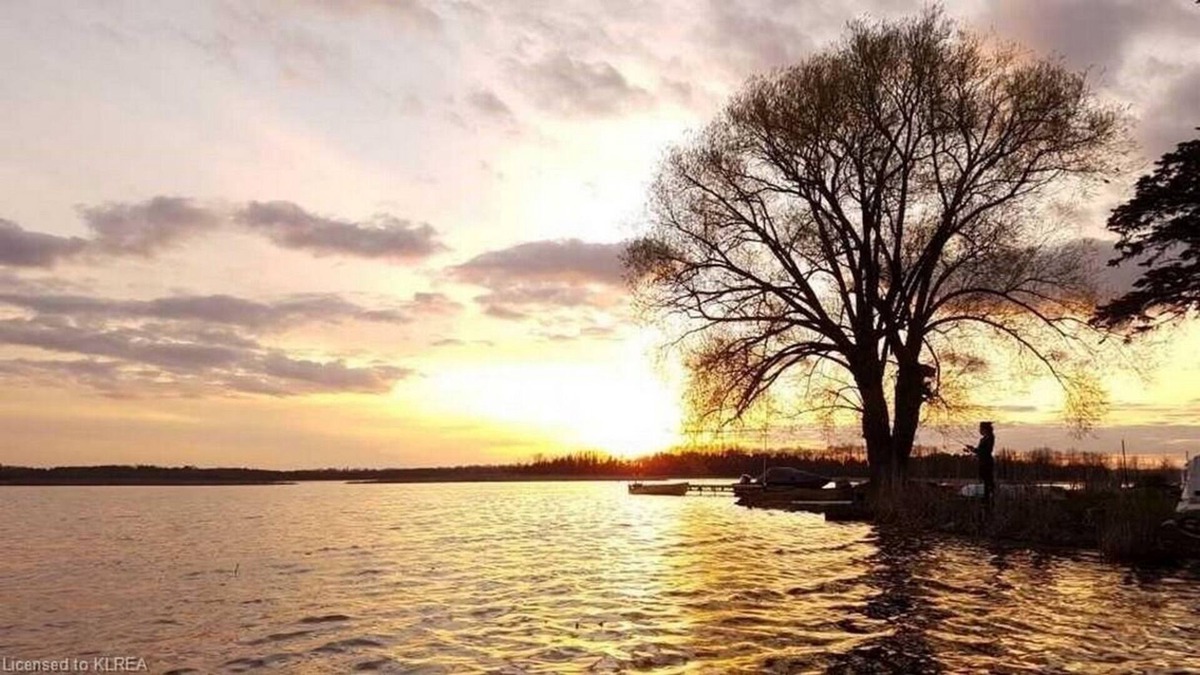 Lindsay Cottage | Waterfront! Lalani on the Lake. 2 docks with modern comfortable living space.