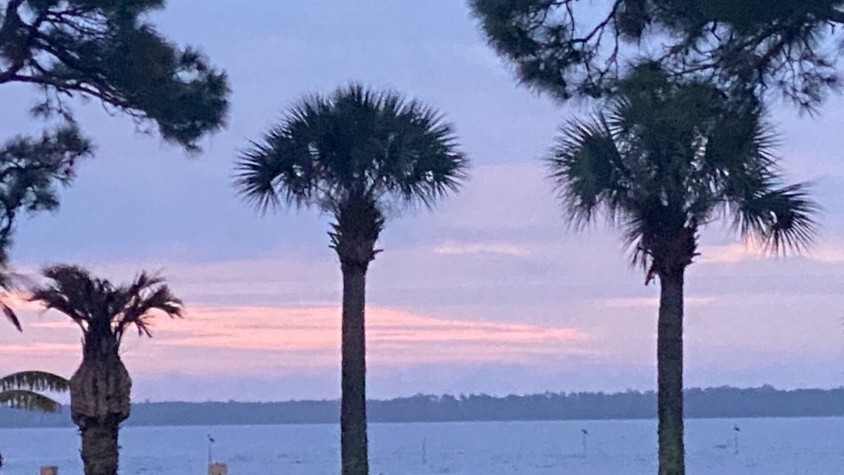 Panacea Condo | Waterfront on Ochlockonee Bay-Renovated condo & sparking pool
